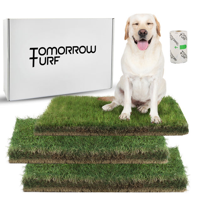 Potty store pad grass