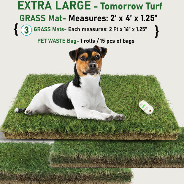 Extra Large Dog Potty Grass Pad Subscription