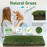 Dog Potty Grass Pad Subscription